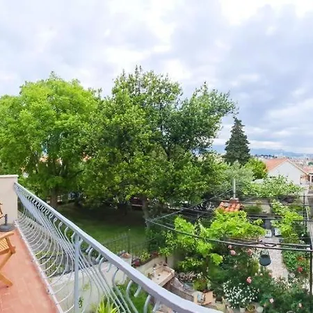 Apartment Rosa
